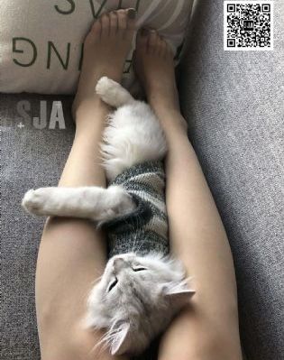 想要变成魔法少女_BD天堂在线