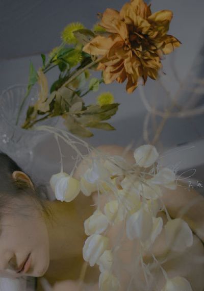 女人12毛片视频_4K视频大全